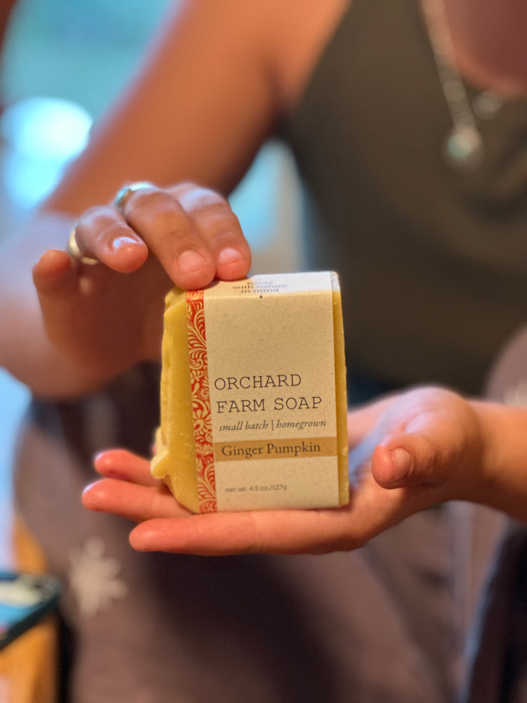 Ginger Pumpkin Soap