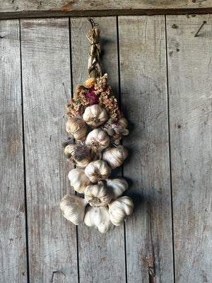 Garlic braid