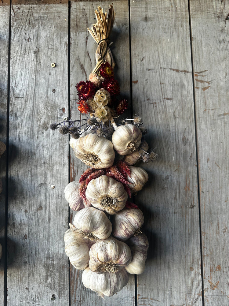 Garlic braid