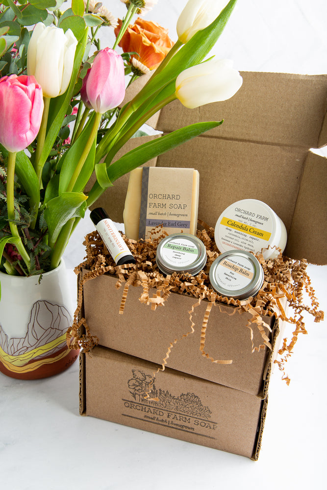 lavender plant gift set Lavender gift set – Orchard Farm Soap